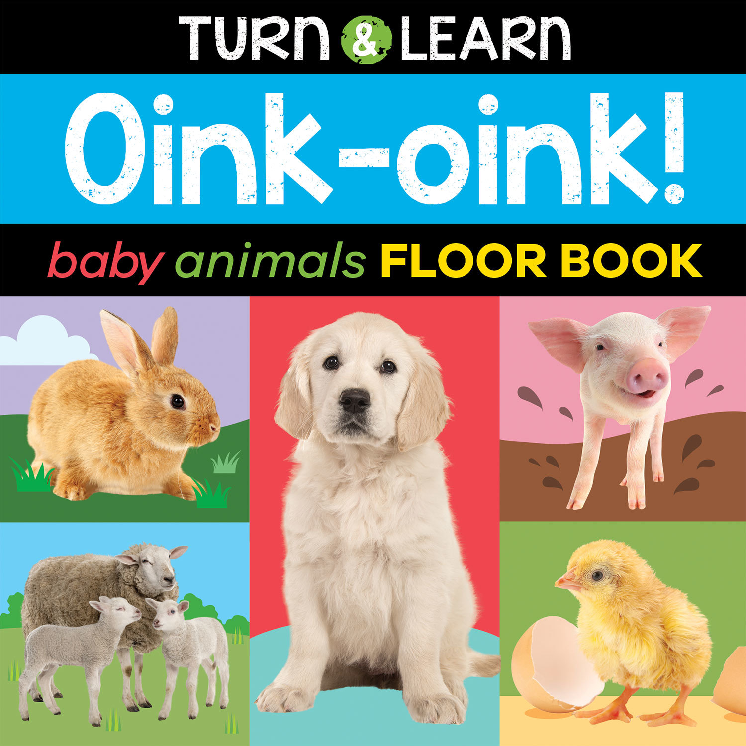BABY ANIMALS FLOOR BOOK