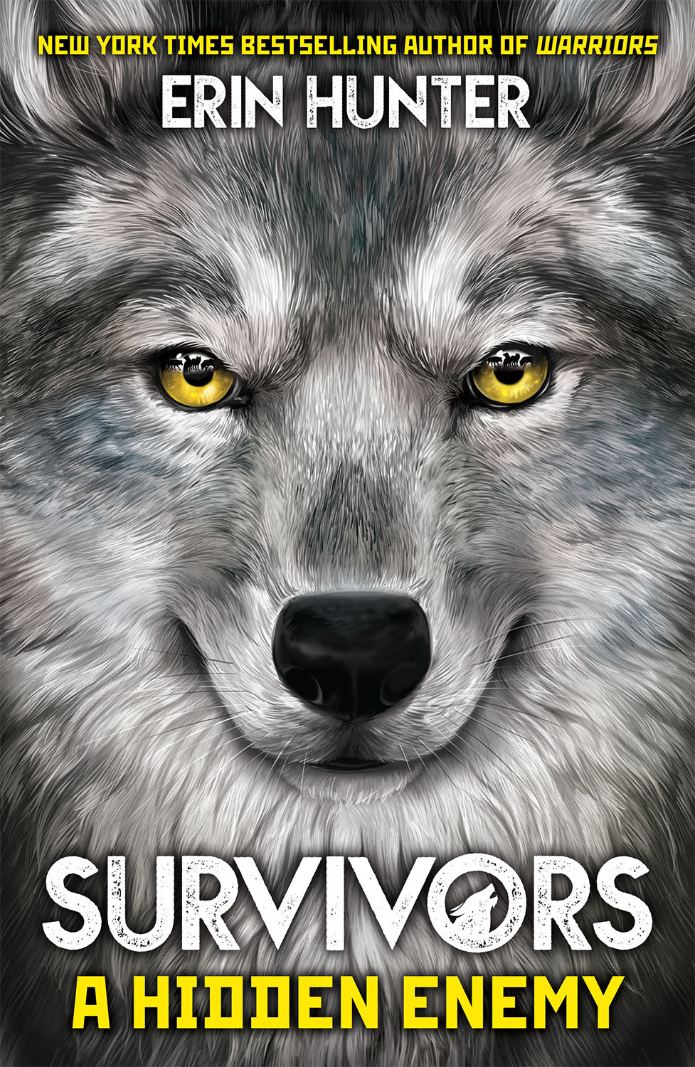SURVIVORS BOOK 2: A HIDDEN ENEMY