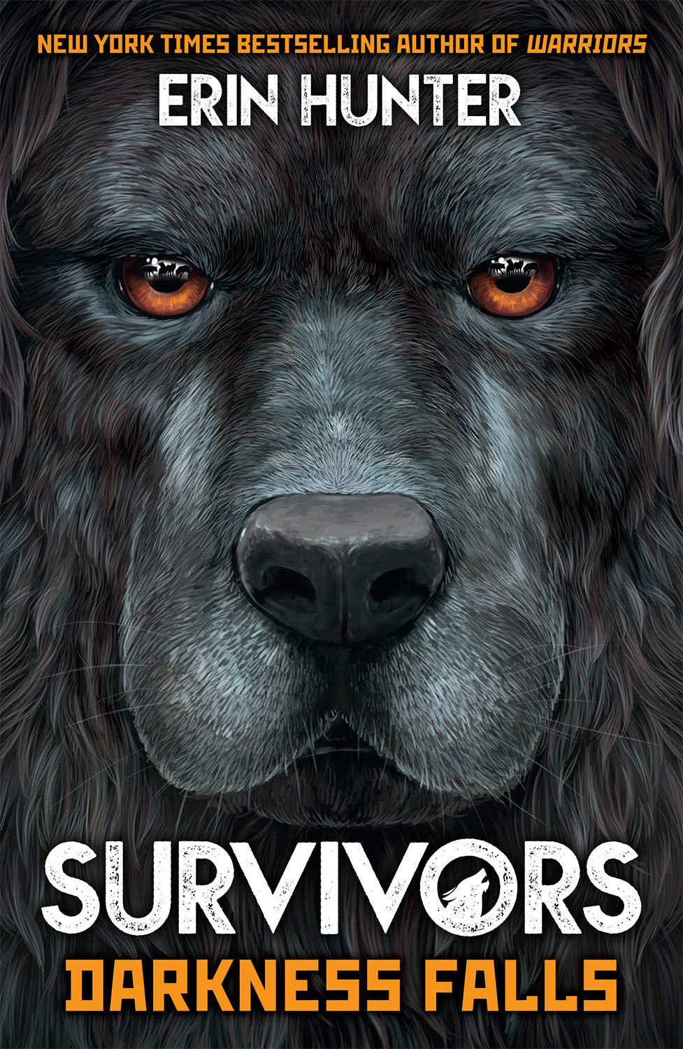 SURVIVORS BOOK 3: DARKNESS FALLS