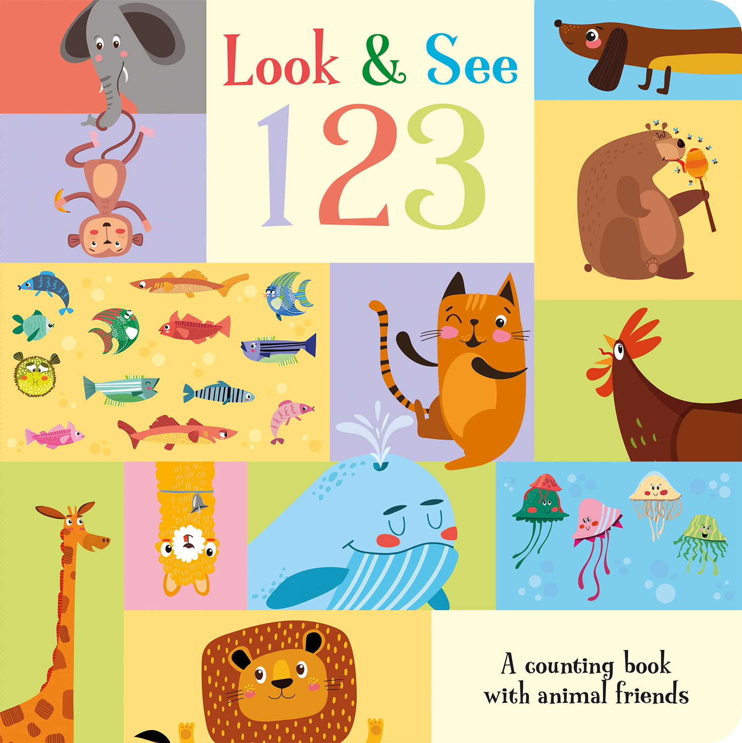 LOOK & SEE 123