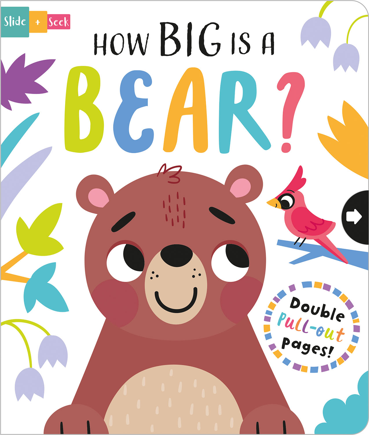 HOW BIG IS A BEAR?