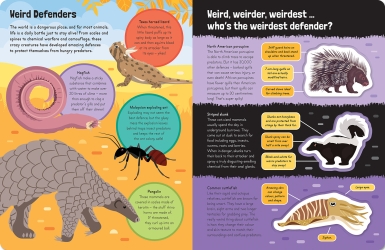 spread-3.jpg;h250 spread-3.jpg;h250